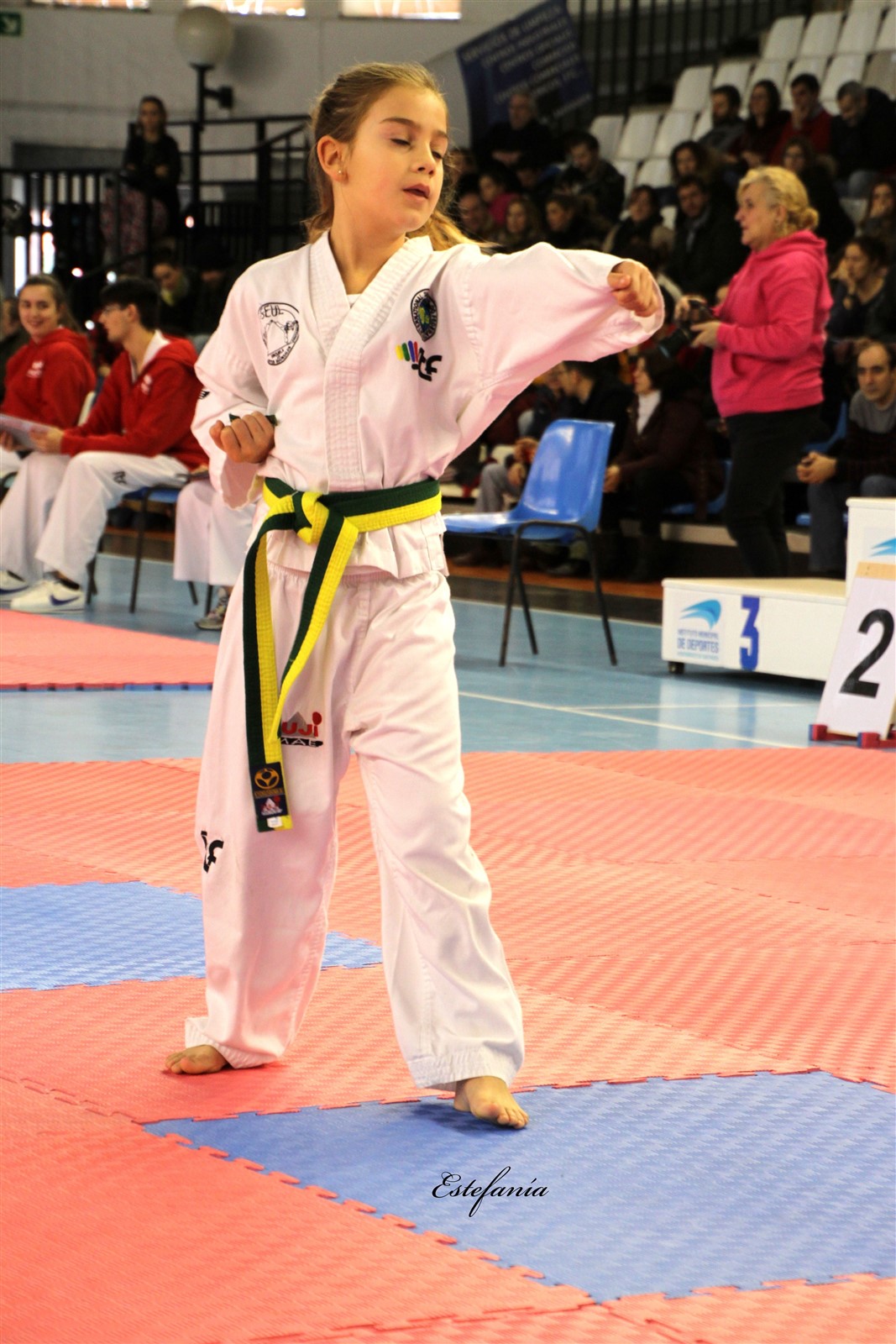 Taekwondo (104).jpg